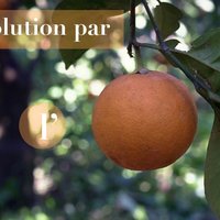 475185336_1152616373538340_1821535259622674865_n