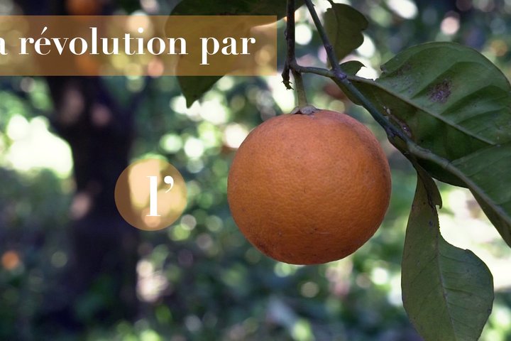 475185336_1152616373538340_1821535259622674865_n