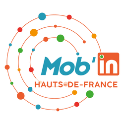 logo-mobin